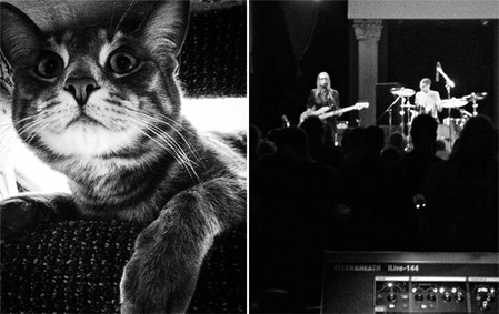 marc poljak photography basement cat aimee mann ted leo